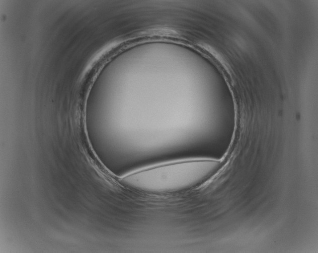 X0000081631115200701151113