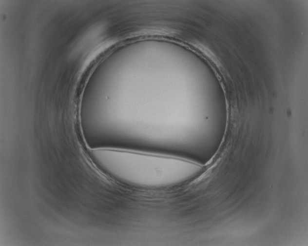 X0000081631119200701151113