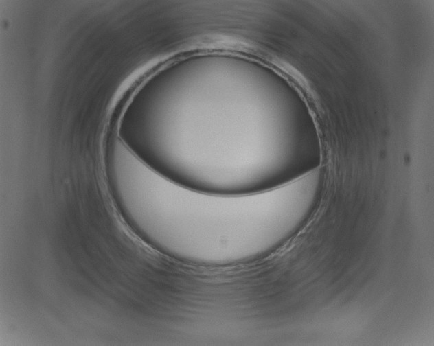 X0000081631120200701151113