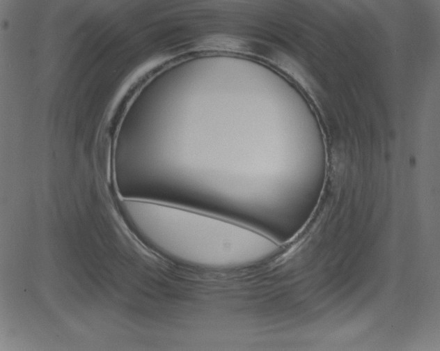 X0000081631123200701151113
