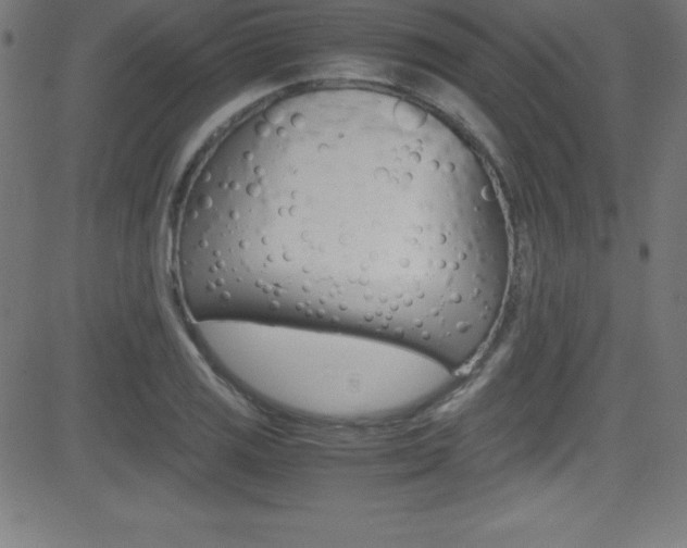 X0000081631125200701151113
