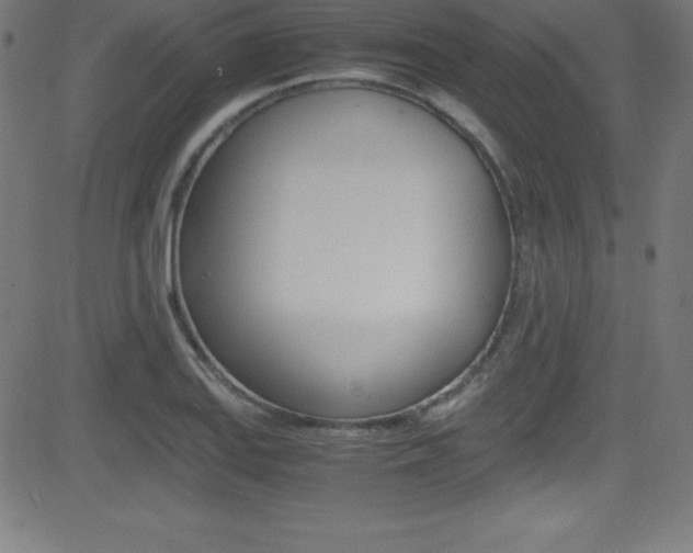 X0000081631127200701151113
