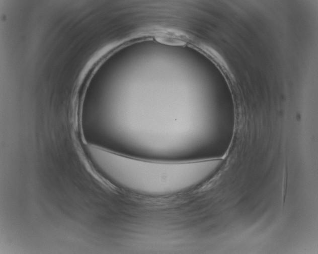 X0000081631128200701151113