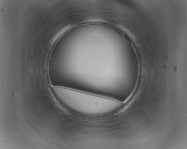 X0000081631129200701151113