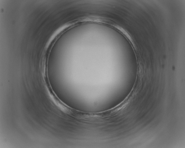 X0000081631131200701151113