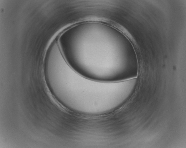X0000081631132200701151113