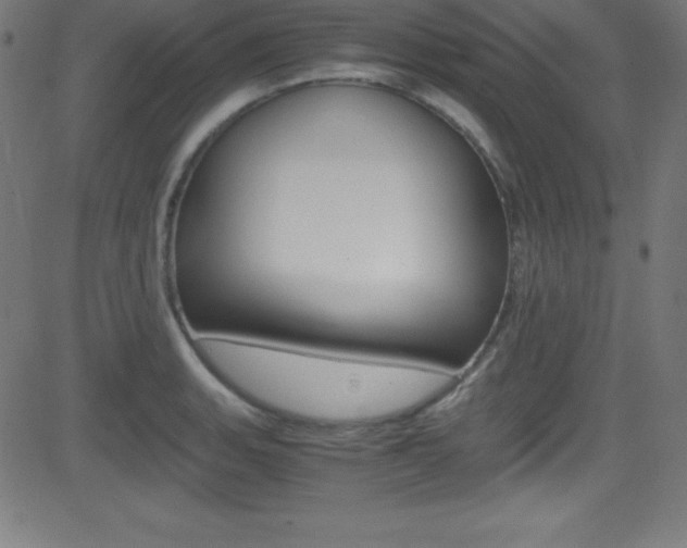 X0000081631135200701151113