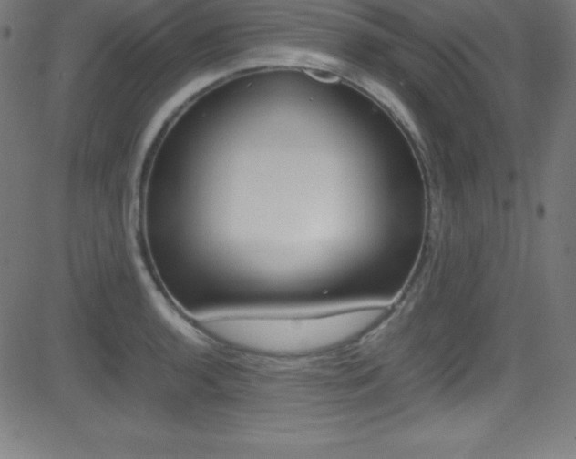 X0000081631136200701151113