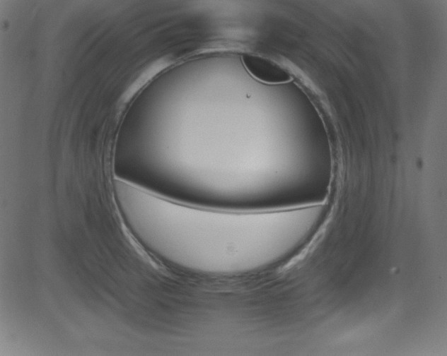 X0000081631137200701151113