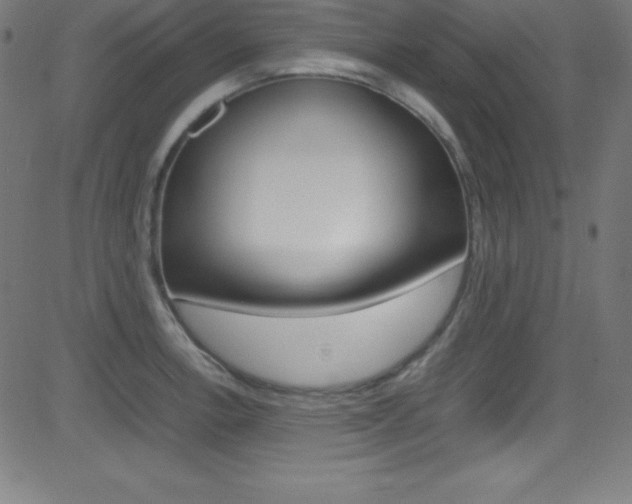 X0000081631138200701151113