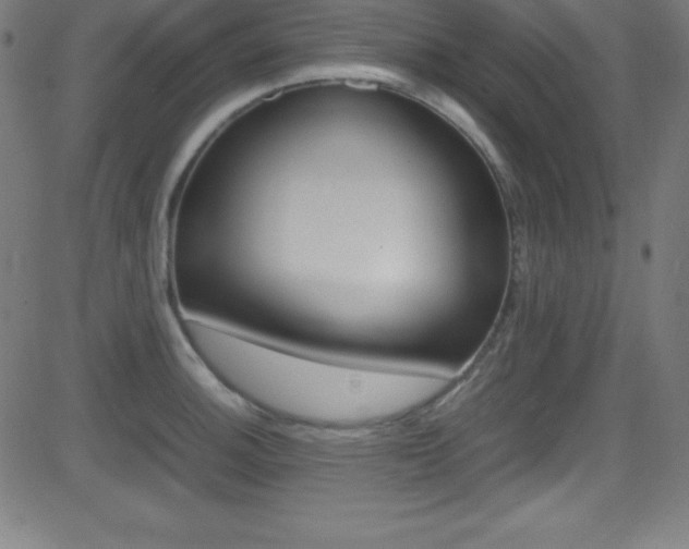 X0000081631140200701151113