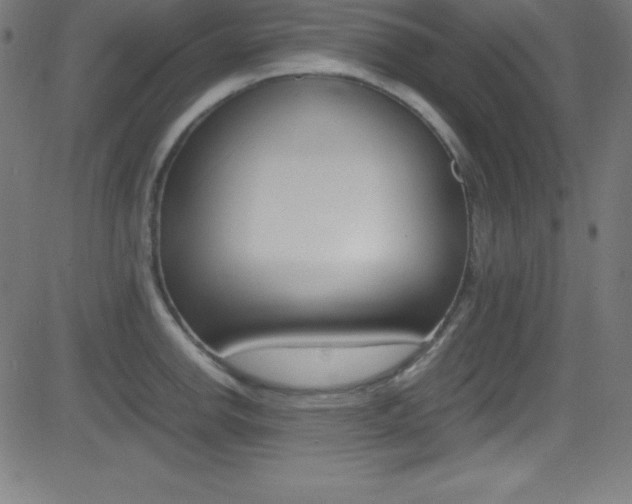 X0000081631142200701151113