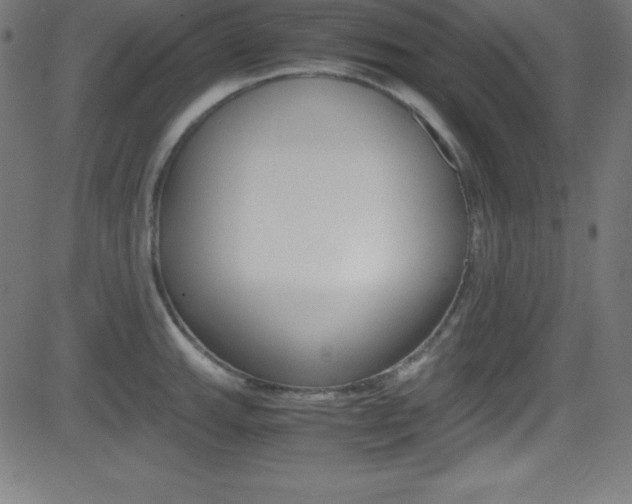 X0000081631143200701151113