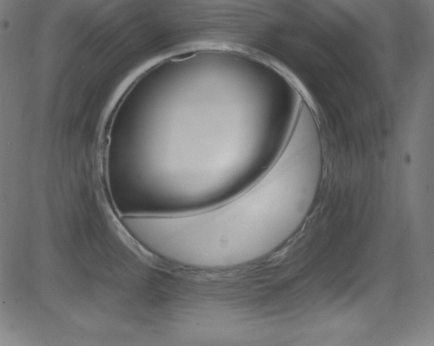 X0000081631148200701151113