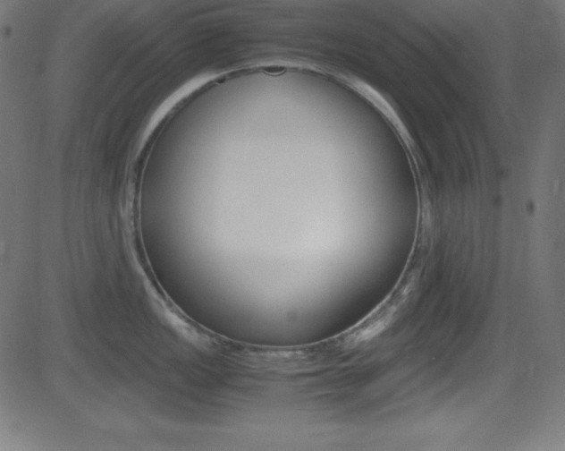 X0000081631149200701151113