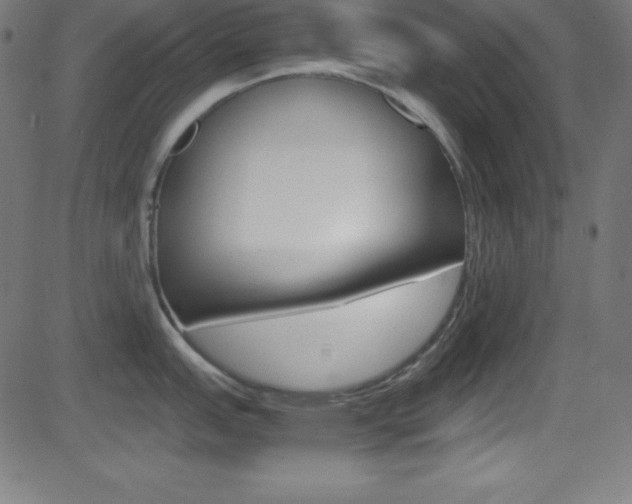 X0000081631151200701151113