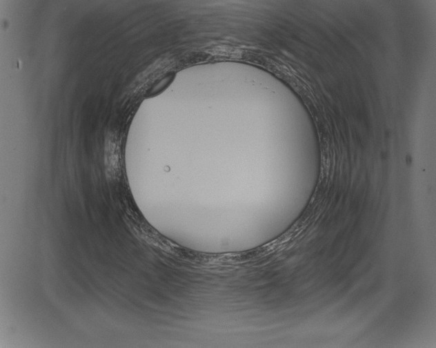 X0000081631154200701151113