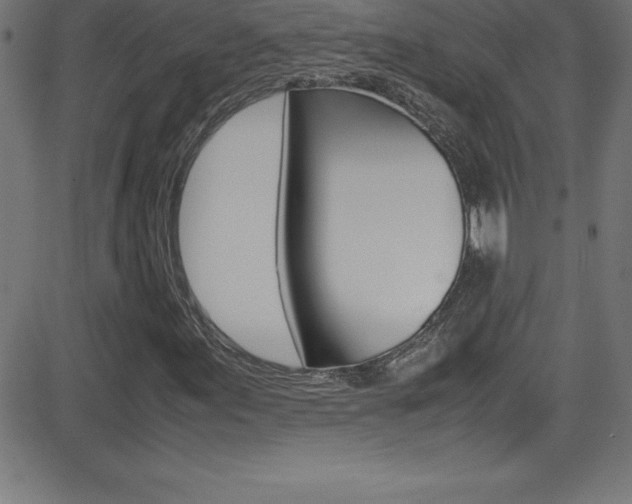 X0000081631155200701151113
