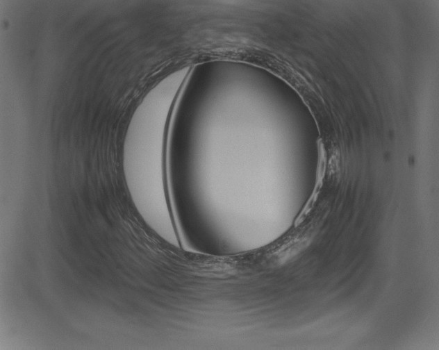 X0000081631156200701151113