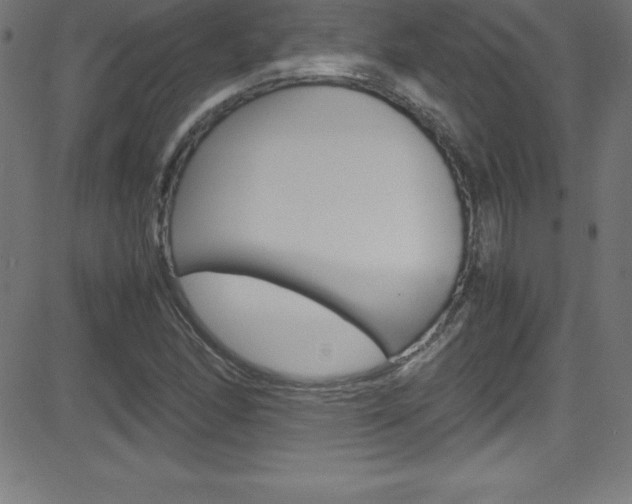 X0000081631166200701151112