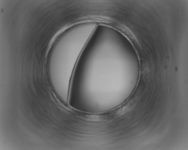 X0000081631172200701151112