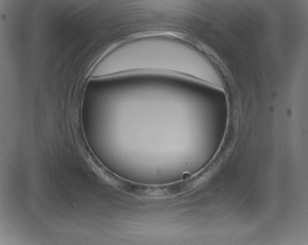 X0000081631177200701151112