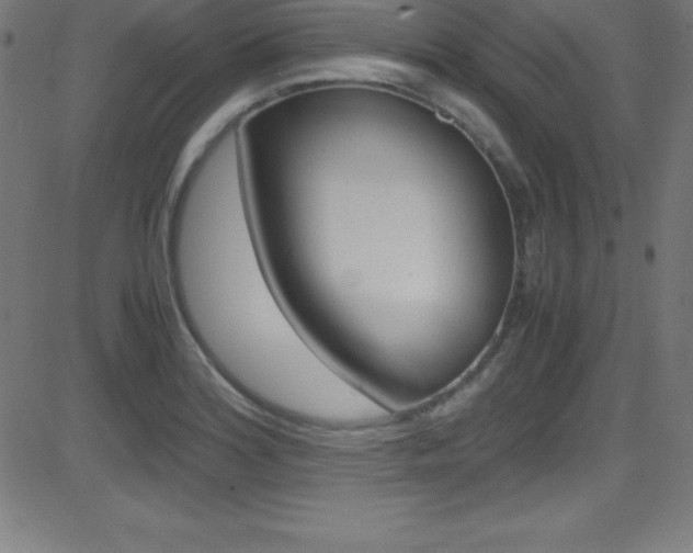 X0000081631180200701151112