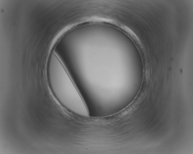 X0000081631183200701151112
