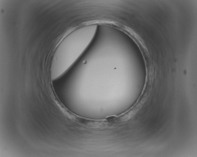 X0000081631185200701151112