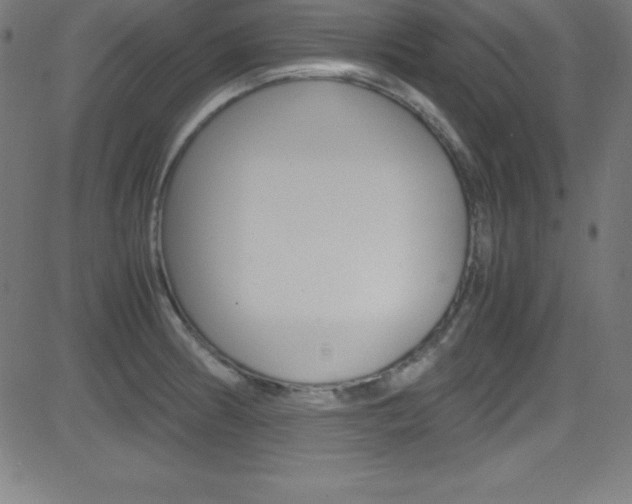 X0000081631186200701151112