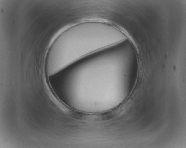 X0000081631187200701151112