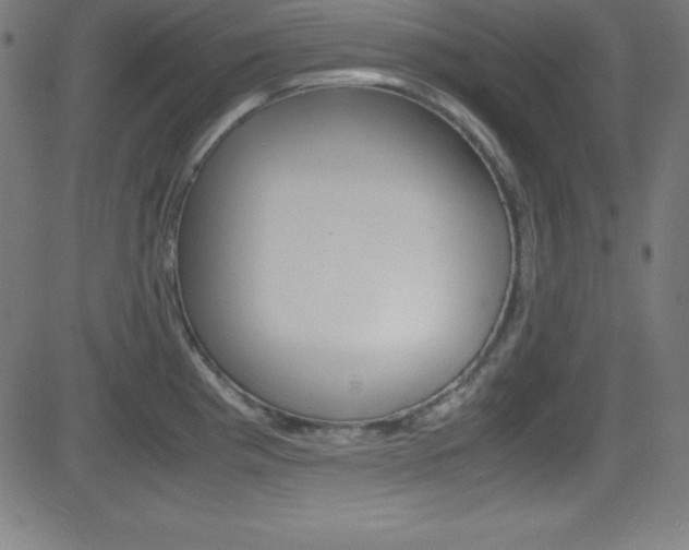 X0000081631193200701151112