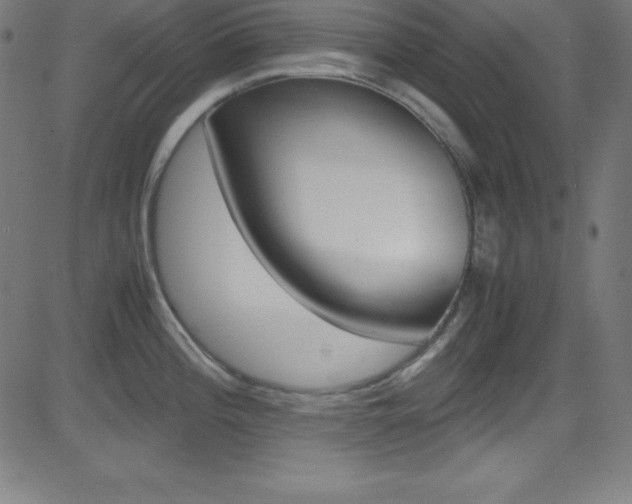 X0000081631196200701151112