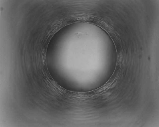 X0000081631202200701151111
