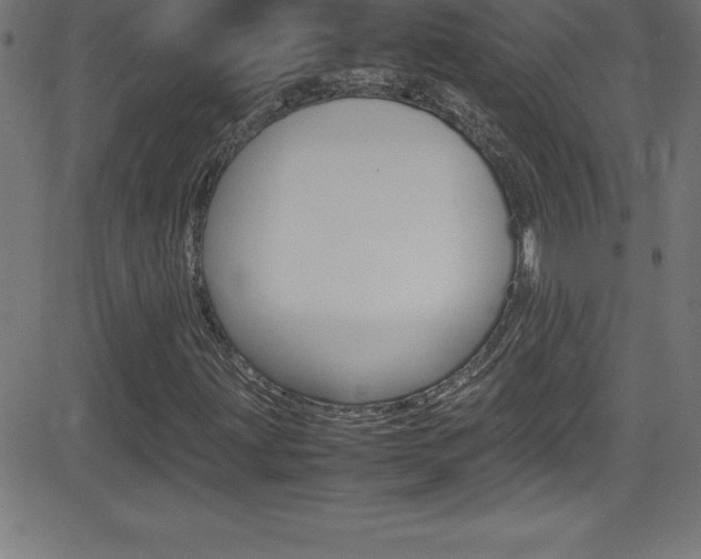 X0000081631203200701151111