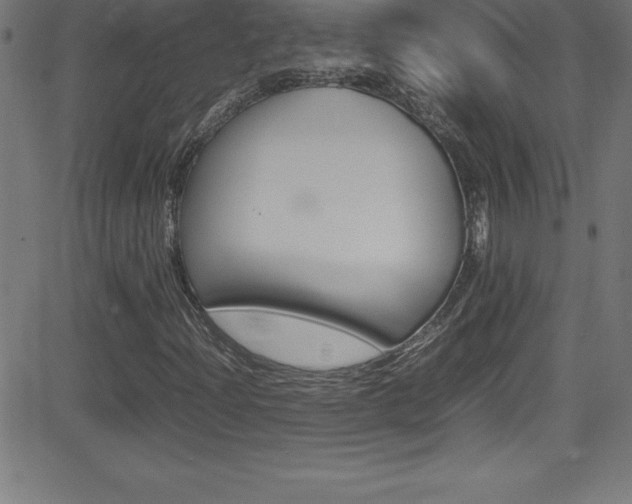 X0000081631204200701151111