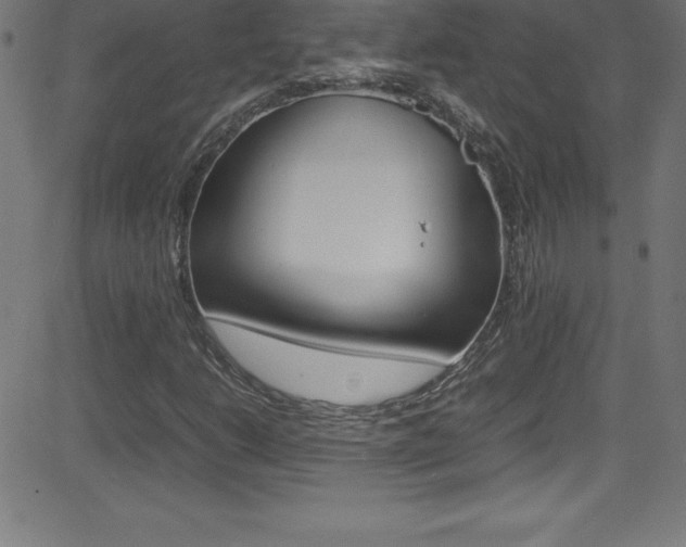 X0000081631206200701151111