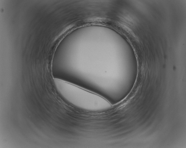 X0000081631209200701151111