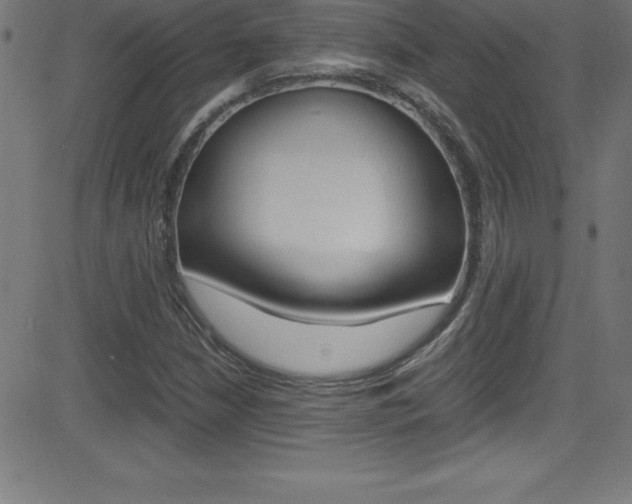 X0000081631210200701151111