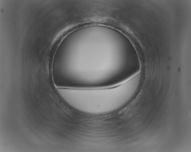 X0000081631214200701151111