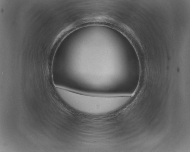 X0000081631218200701151111