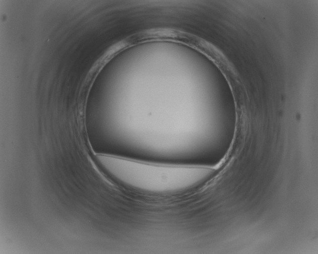X0000081631225200701151112