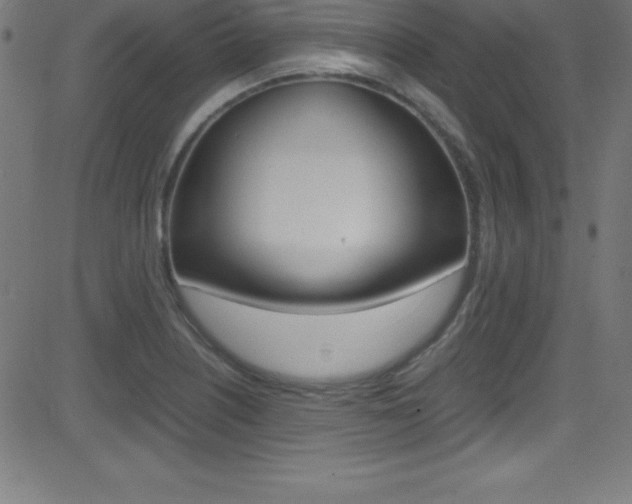 X0000081631226200701151112