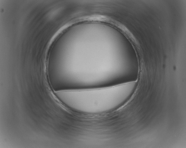 X0000081631232200701151112