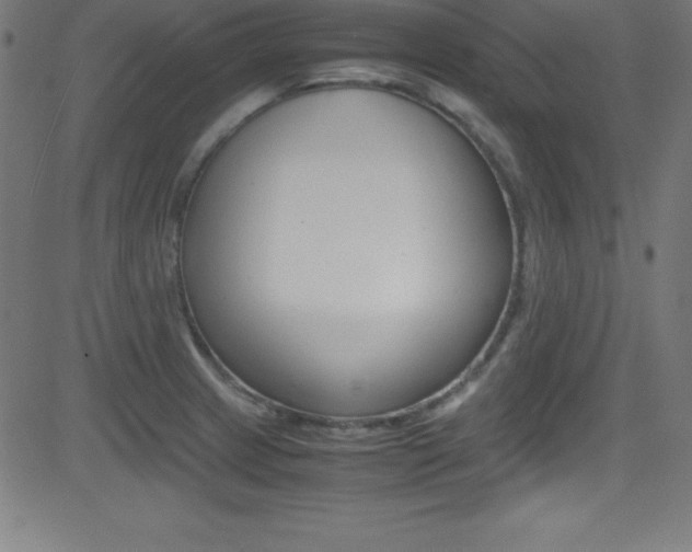 X0000081631233200701151112