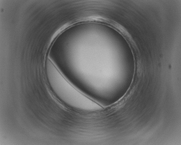 X0000081631234200701151112