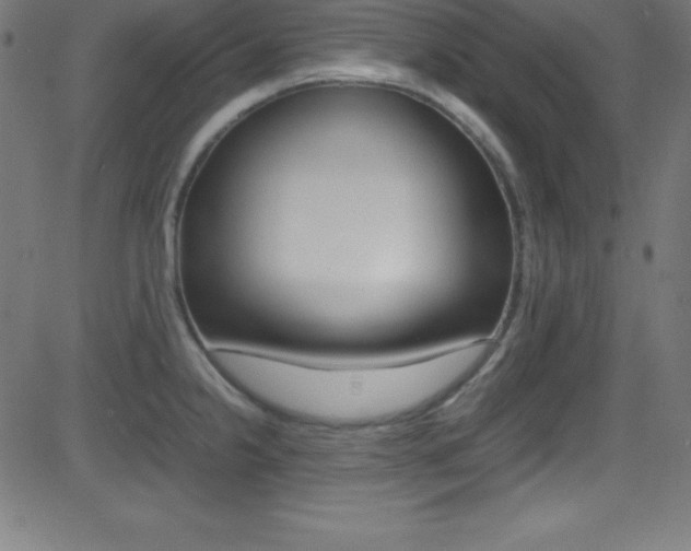 X0000081631238200701151112
