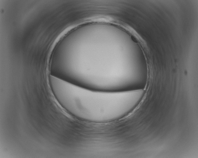 X0000081631240200701151112
