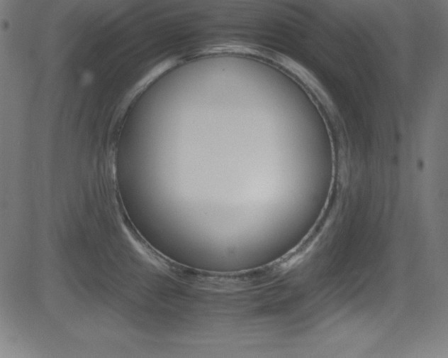 X0000081631241200701151112
