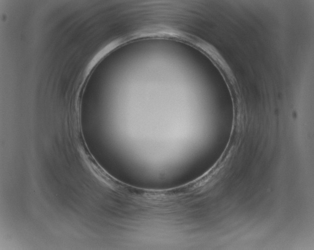 X0000081631242200701151112